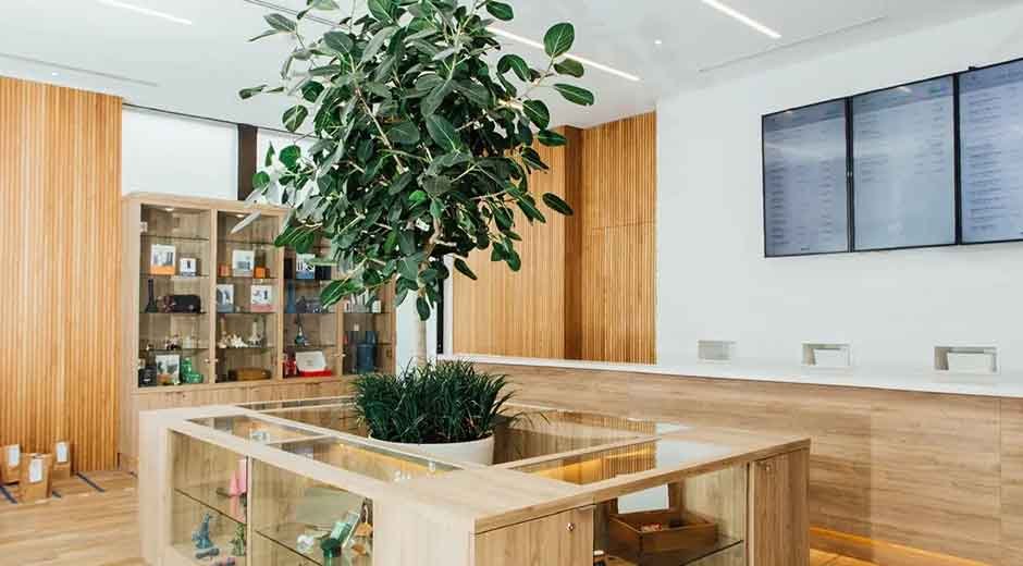 How to Choose a Dispensary Focused on Quality and Care